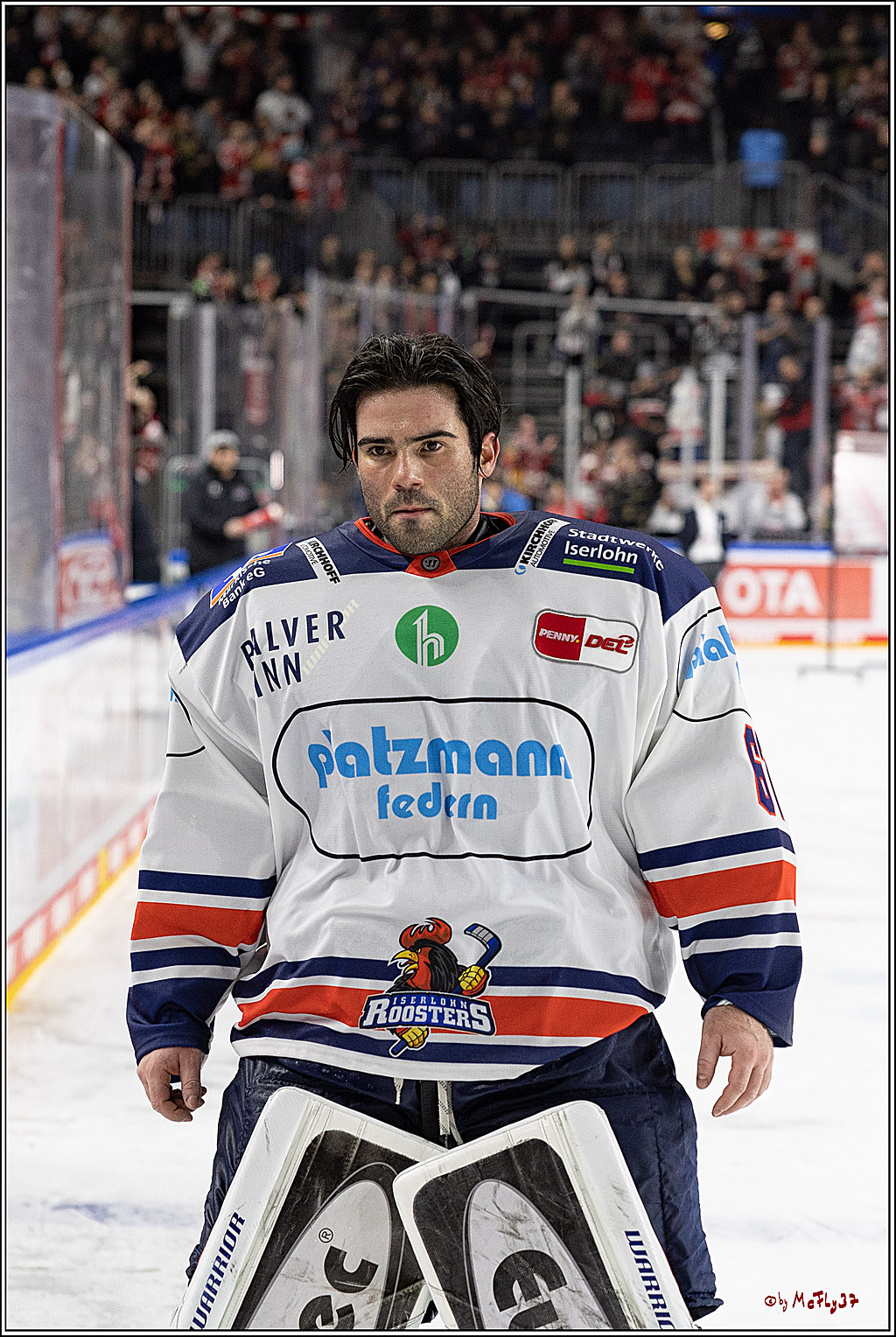 PENNY DEL;  Koelner Haie - Iserlohn Roosters; Koeln, 24.01.2023